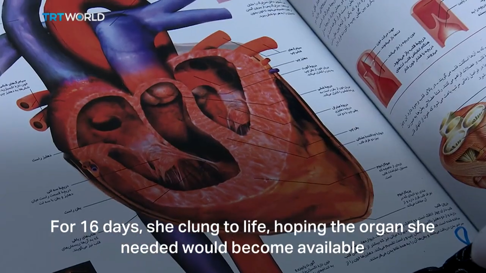 Iran promoting organ transplant culture